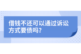 宝塔为什么选择专业追讨公司来处理您的债务纠纷？