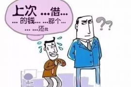 宝塔宝塔的要账公司在催收过程中的策略和技巧有哪些？